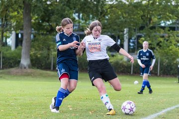 Bild 243 - B-Juniorinnen SV Henstedt Ulzburg - Hamburger SV : Ergebnis: 2:3